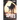 Spies