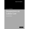 Perspectives on Labour Law