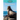 Sea Lions