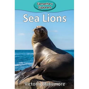 Sea Lions