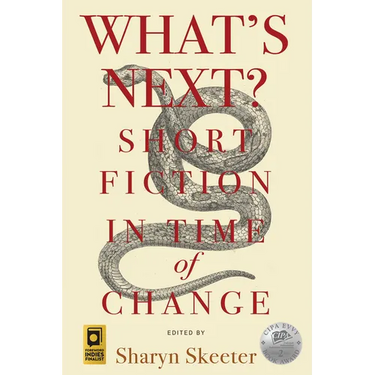 What's Next? Short Fiction in Time of Change