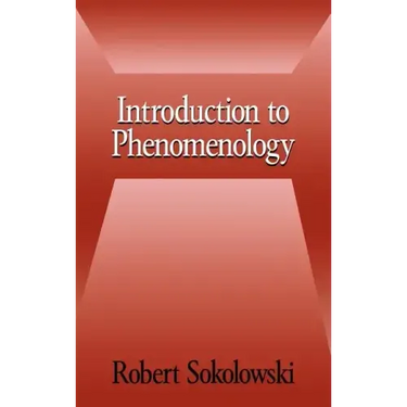 Introduction to Phenomenology