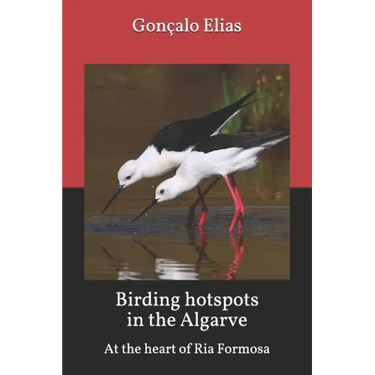 Birding hotspots in the Algarve: At the heart of Ria Formosa