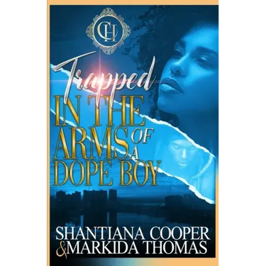 Trapped In The Arms Of A Dope Boy: A Hood Love Story