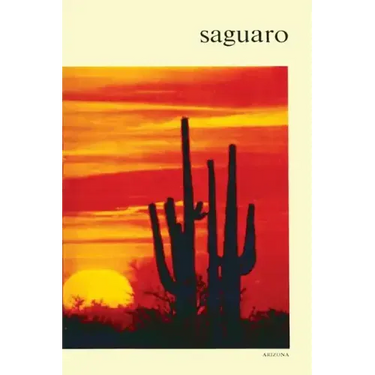 Saguaro: National Monument