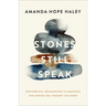 Stones Still Speak: How Biblical Archaeology Illuminates the Stories You Thought You Knew