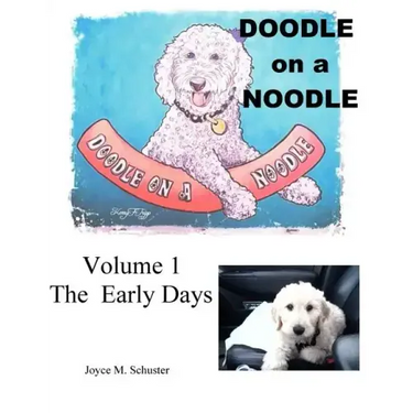Doodle on a Noodle: VOLUME 1 The Early Days