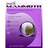 Math Mammoth Grade 4 Answer Keys