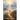 Transition into Purpose