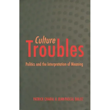 Culture Troubles: Politics and the Interpretation of Meaning