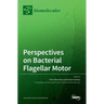 Perspectives on Bacterial Flagellar Motor