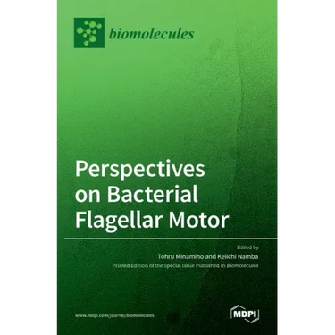 Perspectives on Bacterial Flagellar Motor