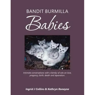 Bandit Burmilla Babies: Intimate Conversations with a Family of Cats on Love, Pregancy, Birth, Death and Separation.