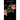 Riot of Roses