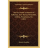 The Successful Treatment Of Influenza, Sore Throat, Bronchitis, Asthma, Pneumonia, Etc. (1861)