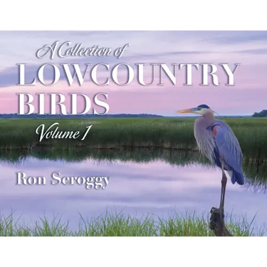 A Collection of Lowcountry Birds