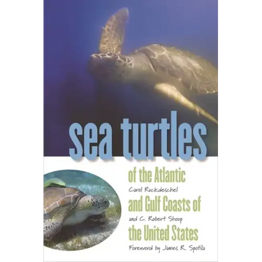 Sea Turtles of the Atlantic and Gulf Coasts of the United States