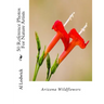 Arizona Wildflowers: 50 Reference Photos For Nature Artists