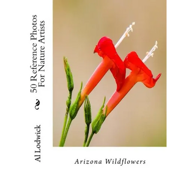 Arizona Wildflowers: 50 Reference Photos For Nature Artists