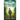 The Missing