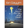 The Soul's Journey after Death