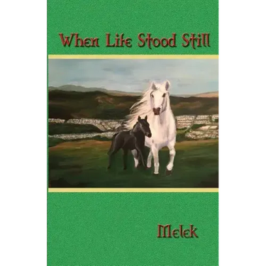 When Life Stood Still