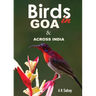 Birds in Goa & Across India
