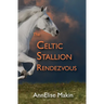 The Celtic Stallion Rendezvous