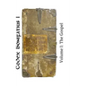 Codex Bonifatius I: Volume I: The Gospel