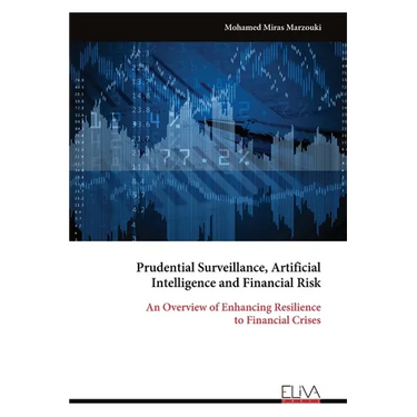 Prudential Surveillance, Artificial Intelligence and Financial Risk: An Overview of Enhancing Resilience to Financial Crises