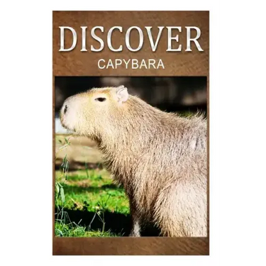 Capybara - Discover: Early reader's wildlife photography book