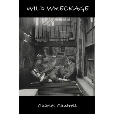 Wild Wreckage