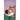 Gate of Rose and Vine: Book One