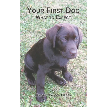 Your First Dog: What to Expect