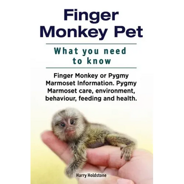 Finger Monkey Pet. WHAT YOU NEED TO KNOW. Finger Monkey or Pygmy Marmoset Information. Pygmy Marmoset care, environment, behaviour, feeding and health