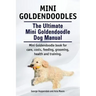 Mini Goldendoodles. The Ultimate Mini Goldendoodle Dog Manual. Miniature Goldendoodle book for care, costs, feeding, grooming, health and training.