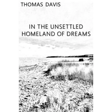 In the Unsettled Homeland of Dreams