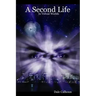 A Second Life In Virtual Worlds