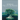 The World of Ficus Bonsai