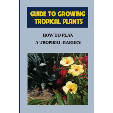 Guide To Growing Tropical Plants: How To Plan A Tropical Garden: Plant Types For Tropical Garden