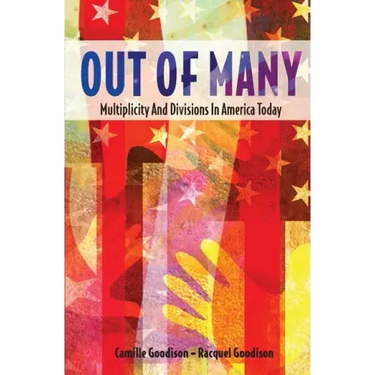 Out of Many: Multiplicity and Divisions in America Today