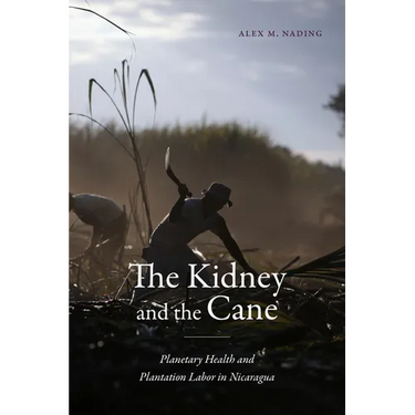The Kidney and the Cane: Planetary Health and Plantation Labor in Nicaragua