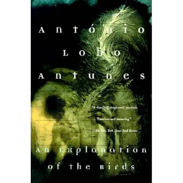 An Explanation of the Birds