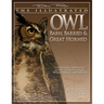 Illustrated Owl: Barn, Barred & Great Horned: The Ultimate Reference Guide for Bird Lovers, Artists, & Woodcarvers