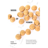 Seeds of Power: Environmental Injustice and Genetically Modified Soybeans in Argentina