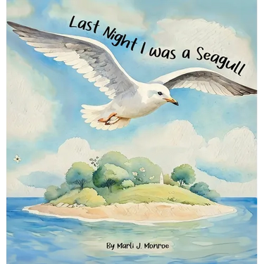 Last Night I was a Seagull