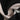 eb2dbd31-22ca-45b0-900b-5c1e94f6c3c1-Max