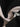 eb2dbd31-22ca-45b0-900b-5c1e94f6c3c1-Max