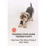 Training Your Cairn Terrier Puppy: Must-Know Tips Before Owing A Cairn Terrier: Facts About The Cairn Terrier