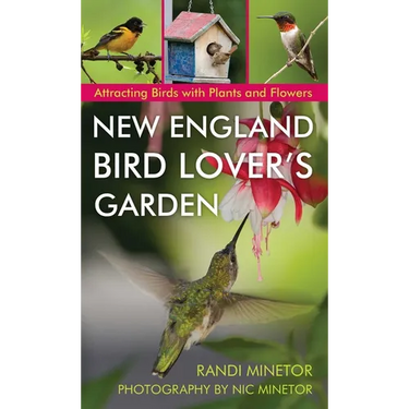 New England Bird Lover's Garden: Attracting Birds with Plants and Flowers